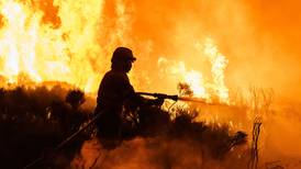 Gran incendio en España pierde intensidad en medio de incansable lucha de brigadistas