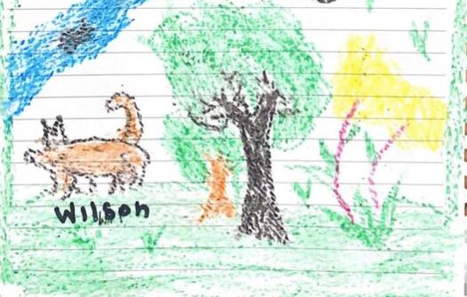 En medio de su recuperación, los niños había dibujado al perro Wilson, animal se perdió en la selva mientras buscaba a los niños. Fotos: El Tiempo / GDA