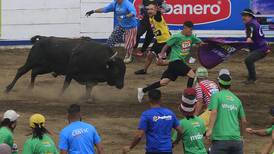 Municipalidad de San José suspende corridas de toros de Zapote