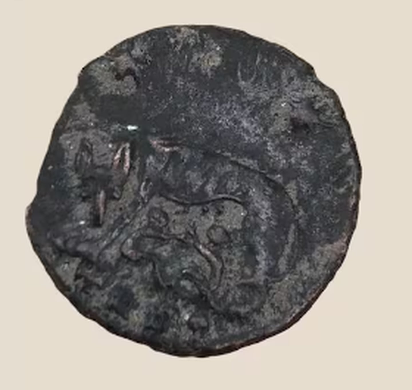 Los arqueólogos también encontraron varias monedas en el lugar, incluida esta que representa el mito romano de Rómulo y Remo siendo amamantados por una loba. (Fuente: INRAP)