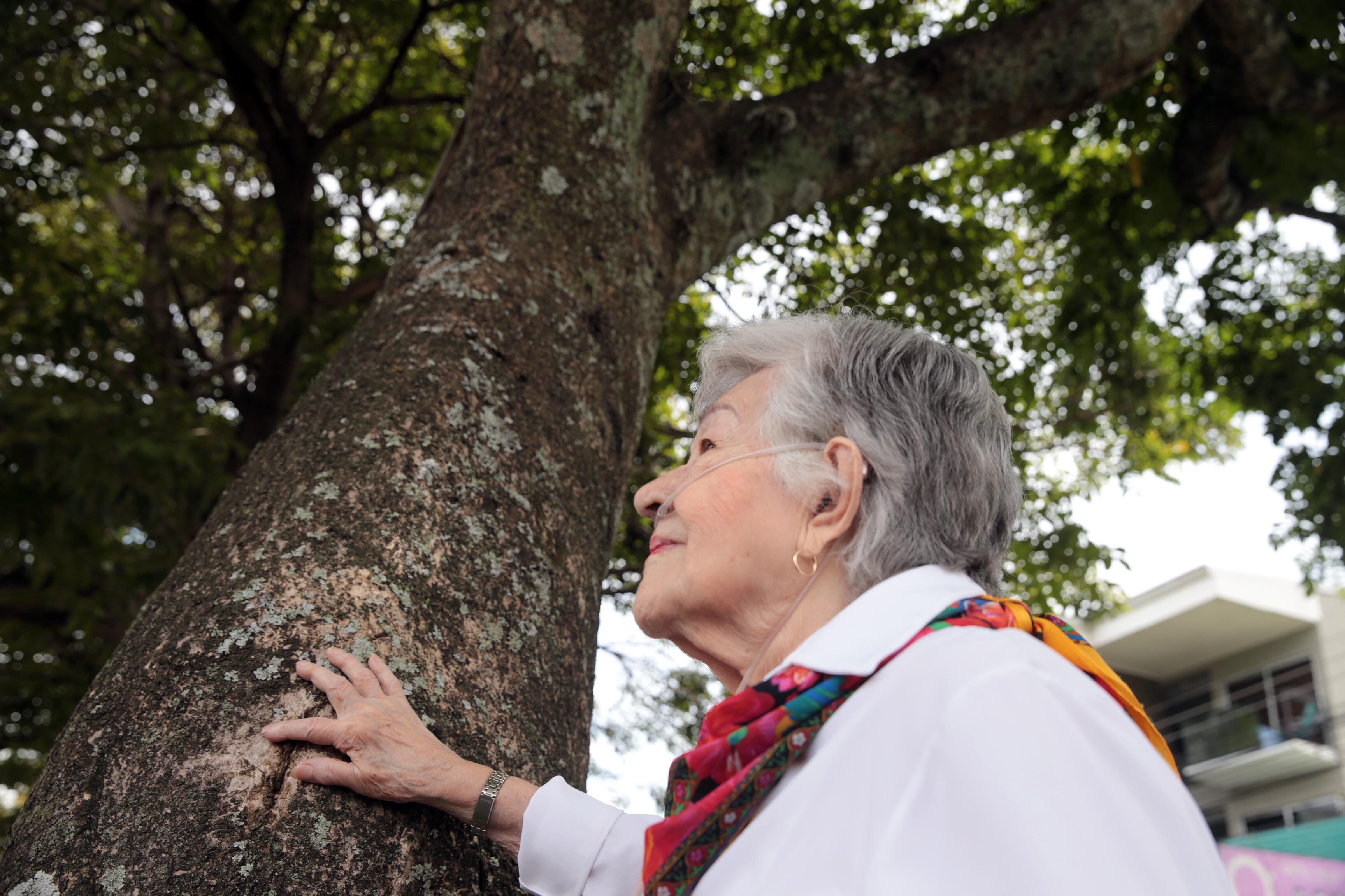 Doña Nydia Palma Rodríguez junto al ejemplar Llama del Bosque, árbol que sembró luego de que le llegaran unas semillitas que venían en 'La Nación', en 1994.