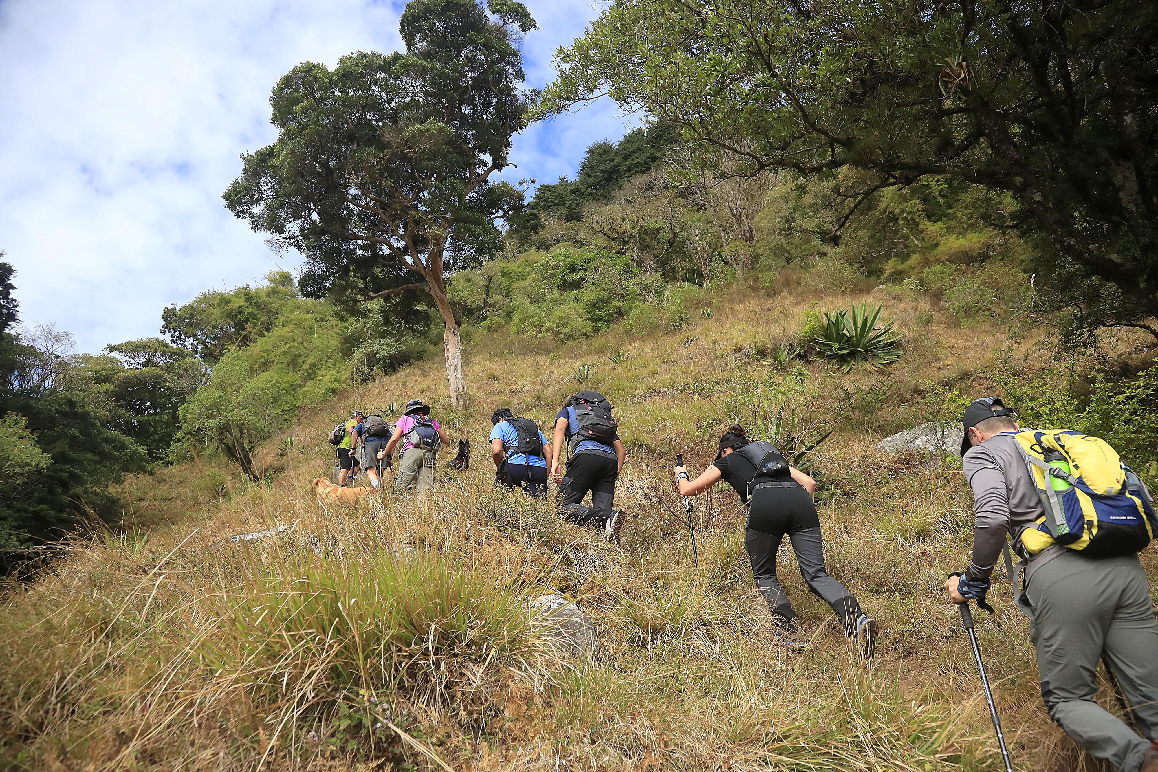 Si se está preparando para llegar a lo más alto del Cerro Chirripó, hay una caminata que le sirve para lograrlo. Rafael Pacheco.