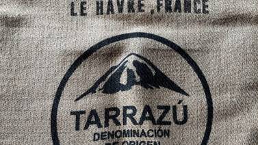 Café Tarrazú se alista para exportar a Europa con sello de denominación de origen