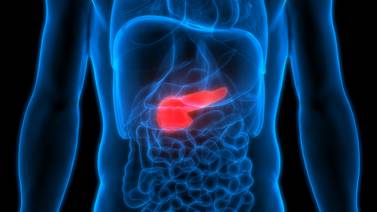 Nuevo tratamiento farmacológico frenaría propagación de cáncer de páncreas