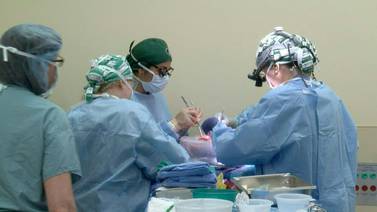 Cirujanos estadounidenses realizan segundo trasplante de riñón de cerdo a humano