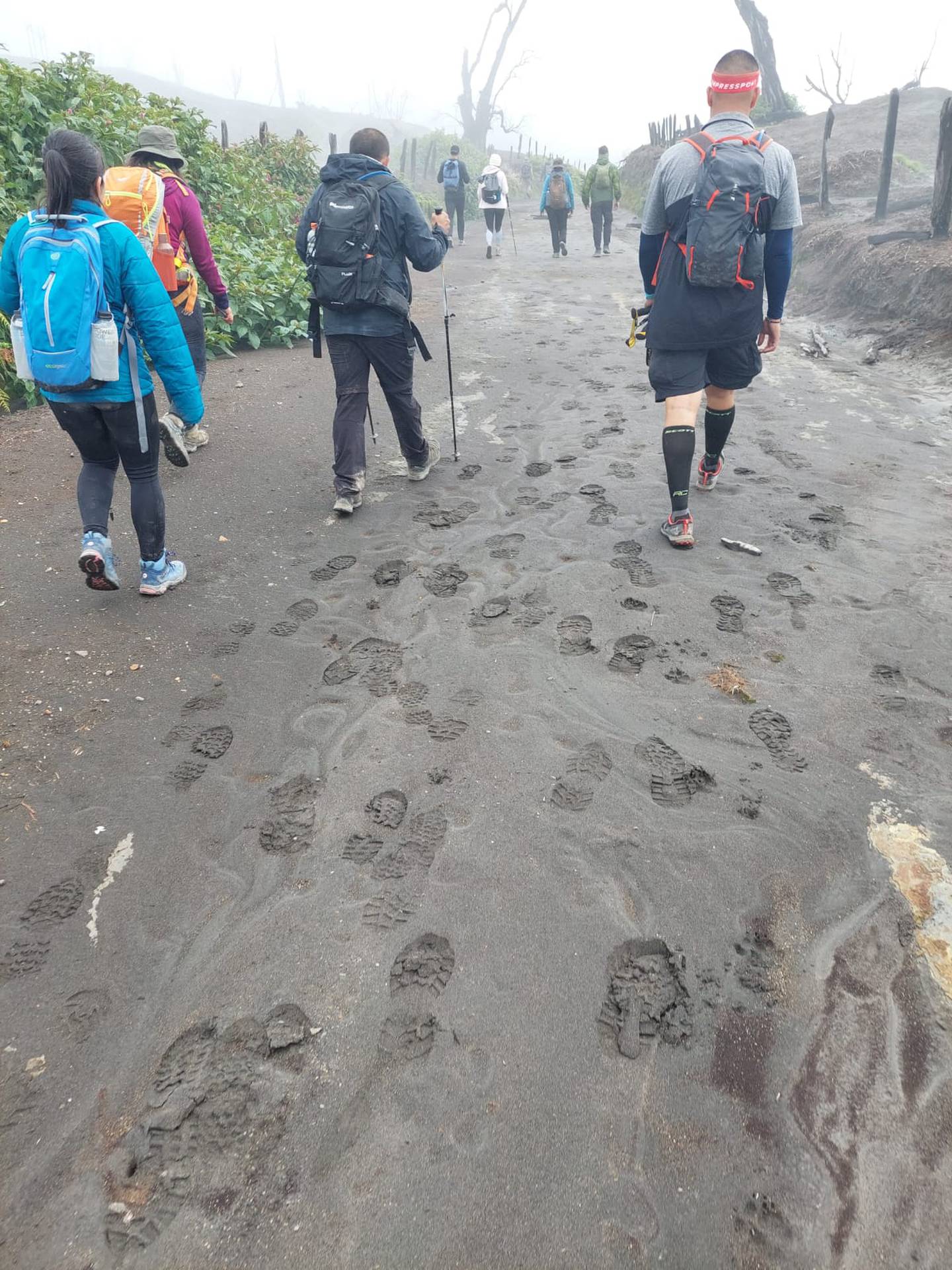 Este es uno de los grupos de caminantes ilegales expulsados del Parque Nacional en los últimos días. La posibilidad de una pronta reapertura ayudará a evitar esos ingresoso. Foto: Reyna Sánchez.
