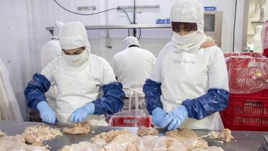 Pollo Rey invertirá $80 millones en planta avícola que adquirió tras incendio
