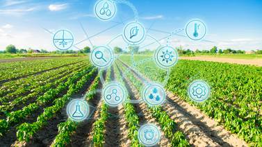 ¿Tiene usted alguna solución tecnológica relacionada con la agricultura? Concurso le invita a participar