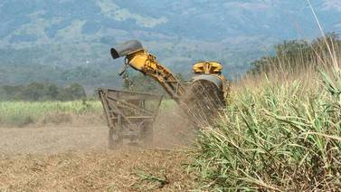 Laica y Consumidores de Costa Rica elevarían a tribunales pugna por azúcar