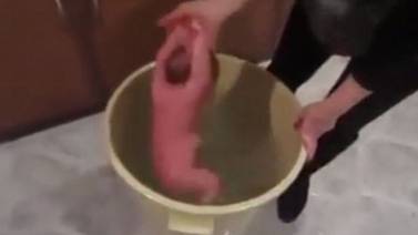 Críticas a Facebook por video de bebé sumergida en una cubeta