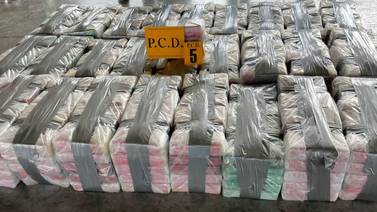 Cuatro sujetos pretendían enviar 736 kilos de coca a España desde APM Terminals, en Moín
