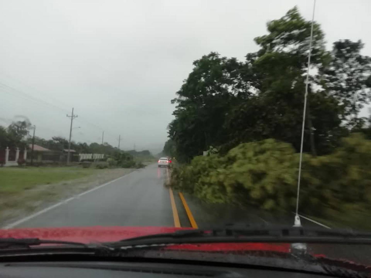 Carretera a Corredores, cantón fronterizo con Panamá, algunos árboles cayeron sobre la vía principal. Avanzada la tarde seguía lloviendo. Foto: Cortesía Colosal informa.