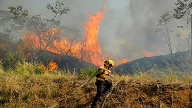 Sinac  denunció a agricultor por descuido que provocó gran incendio forestal en Los Santos