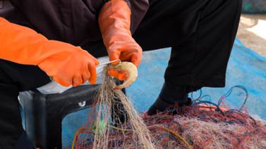 Solapada reanudación de la pesca de arrastre