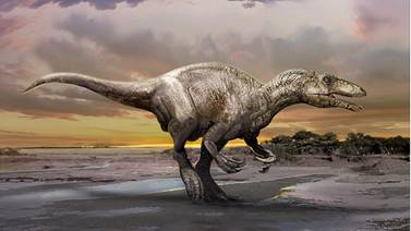 Descubren en Argentina nuevo dinosaurio del grupo de "gigantes ladrones"