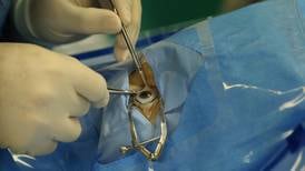 Más de 1.000 pacientes esperan trasplante de córnea; mayoría son personas en edad productiva