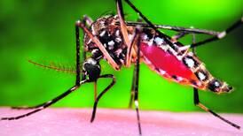 Virus del Zika llegó a Brasil desde Haití