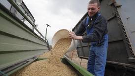 Unión Europea abordará este miércoles la situación del acuerdo del grano, tras condiciones de Putin