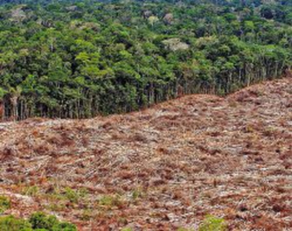 Brasil tambiÃ©n sufre por la deforestaciÃ³n de la AmazonÃ­a. Foto de archivo LN