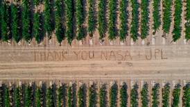 Desde el cielo, NASA salva viñedos de virus que amenaza los brindis con Cabernet Sauvignon 