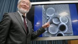 Nobel de Medicina premia descubrimiento sobre cómo las células digieren sus propios desechos