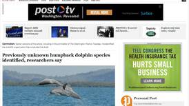 Descubierta nueva especie de   delfín    jorobado en Australia