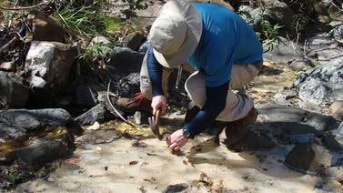  Hipótesis sobre  origen de la vida emerge en Guanacaste