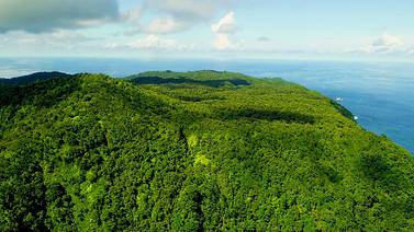 Costa Rica logró copresidencia en alianza de Estados que impulsa rescate de biodiversidad