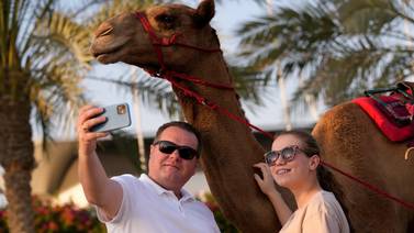 Virus del camello: La enfermedad que pone en peligro el Mundial Qatar 2022