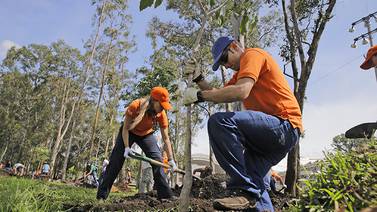 Jornadas de Siembra en La Sabana comenzaron con meta de 450 árboles para el 2016