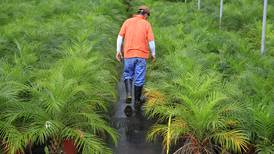 Costa Rica pedirá  a UE la reapertura del mercado a plantas