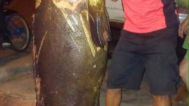 Pescador atrapó enorme pez mero en el Pacífico central