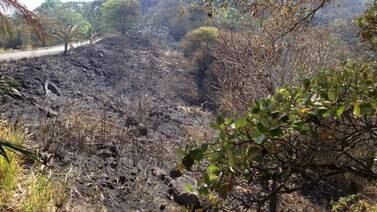 Incendios forestales  mantienen en alerta a las autoridades