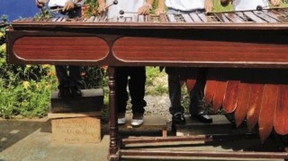 ¡Zumba que zumba, marimba! La Nación