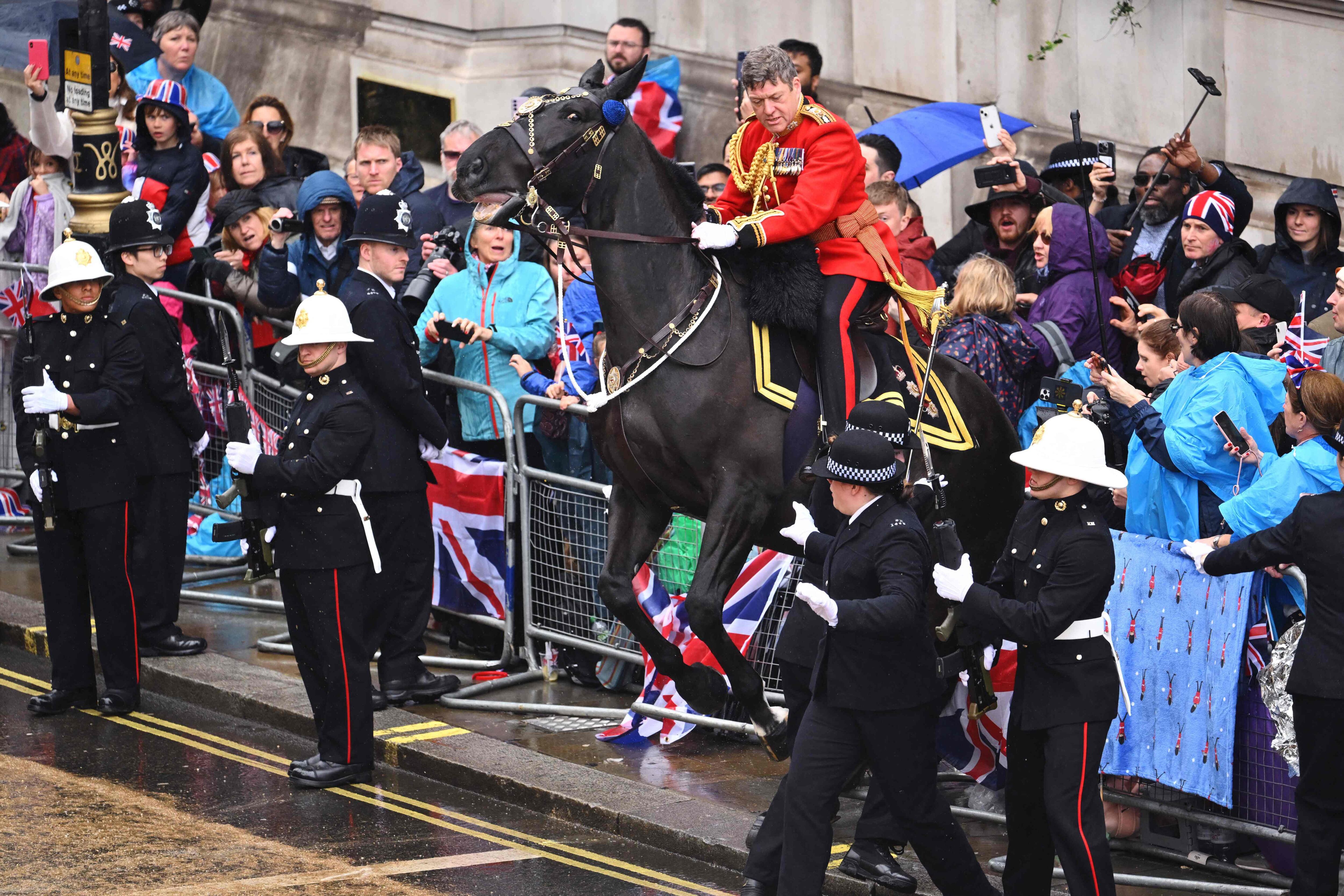 Durante la procesión del rey, uno de los caballos perdió el control y cayó sobre un grupo de personas. 