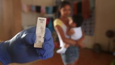 Dos especies de parásitos causantes de malaria presentes en Costa Rica