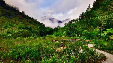 Hotel de Costa Rica implementa 3 iniciativas ambientales para preservar el bosque nuboso
