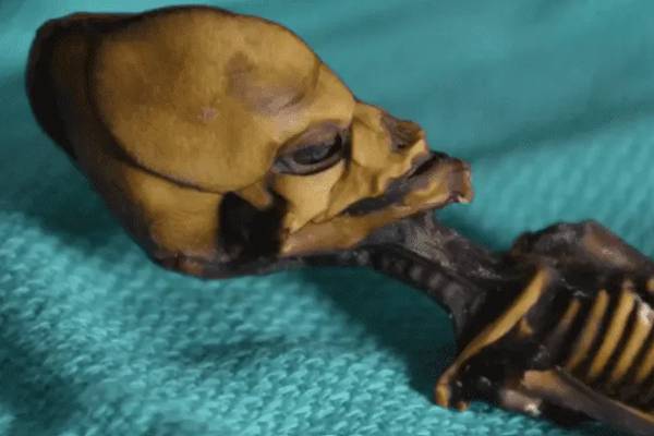Secretos de la ‘momia extraterrestre’ hallada en el desierto de Chile