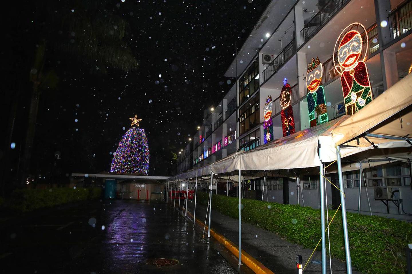 El 3 de diciembre del 2020 el Hospital de Niños realizó la tradicional iluminación del arbolito de navidad