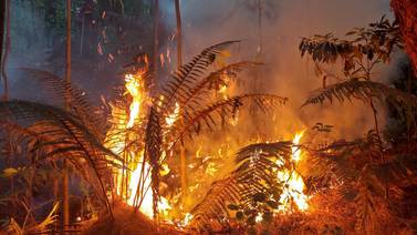 Incendio forestal consumió un sector de Prusia en Parque Nacional Volcán Irazú