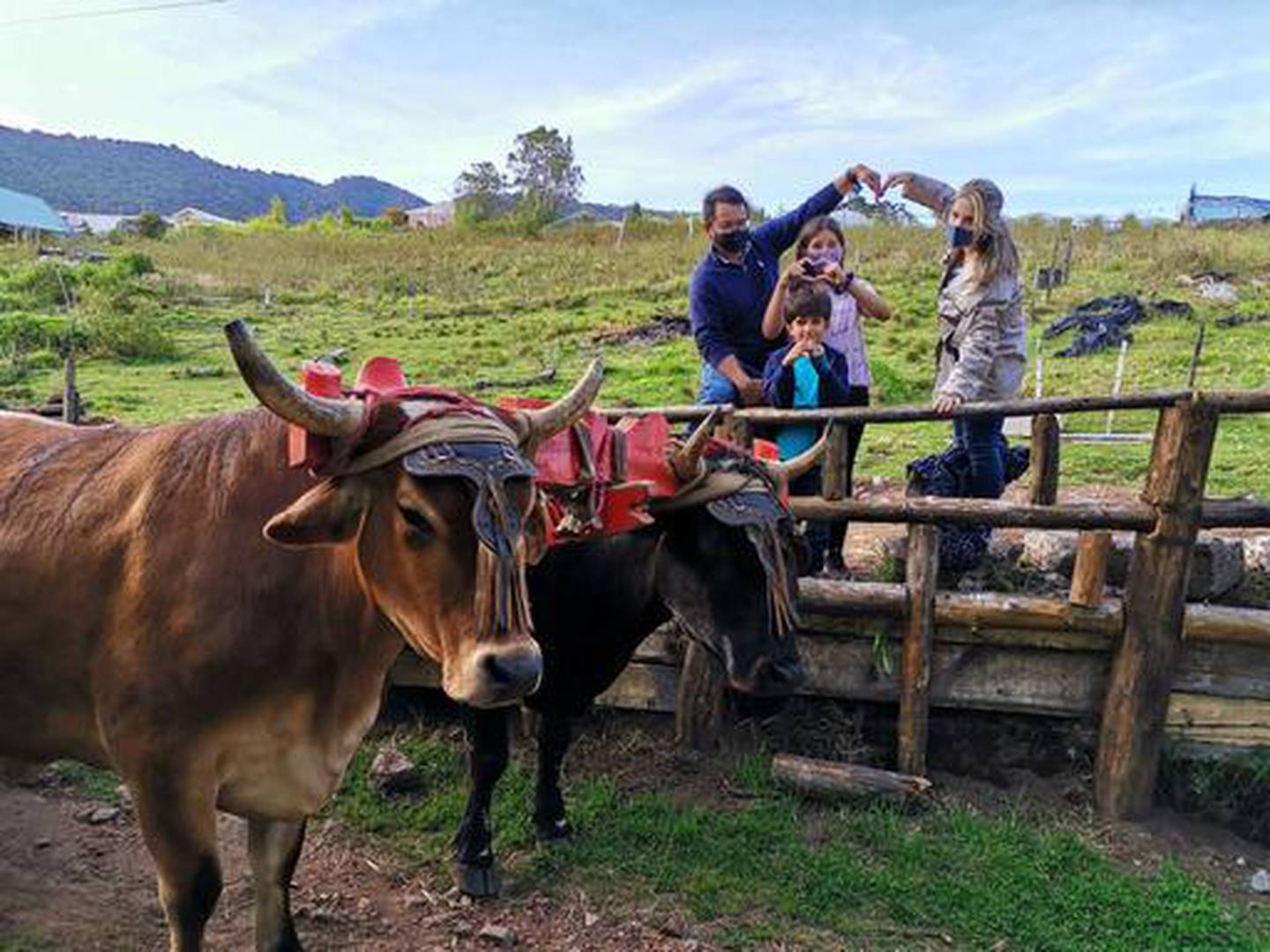 En Poasito de Alajuela existe el primer tour de fresas guiado en Costa Rica y además para el hacer la experiencia más puras tejas es posible montarse en una carreta típica jalada por bueyes. Según el guía de turismo certificado por el ICT, agricultor, turistólogo y propietario y desarrollador de este tour, Eliécer Víquez, el Tour de Fresas permite una experiencia completa a los turistas nacionales o extranjeros
