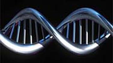 El ADN de los filisteos apunta a sus orígenes europeos, según científicos