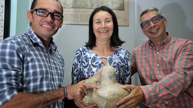 Costa Rica descubre animal prehistórico: perezoso de cuatro toneladas vivió en Coto Brus hace 5,8 millones de años