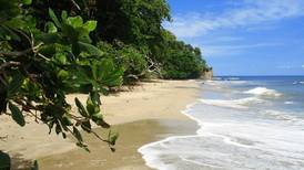 Turismo: guía para explorar el Caribe de Costa Rica
