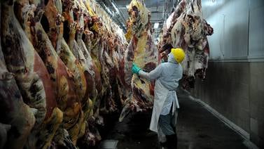Exportadores de carne de Costa Rica exploran mercados sustitutos por fuerte caída en ventas a China