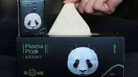 Empresa china transforma el excremento de panda en productos de papel