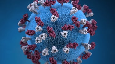 Alerta de OMS por sarampión: falta de vacunación disparó casos un 30% en dos años