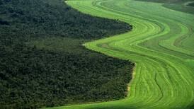 Costa Rica aboga por incentivos a los países en desarrollo para frenar la deforestación