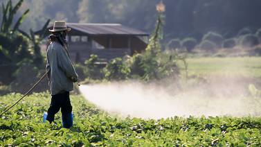 ¿Por qué en Costa Rica se usan insecticidas que están restringidos en la Unión Europea?