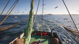MarViva denuncia represalia del Gobierno por acción contra pesca de arrastre